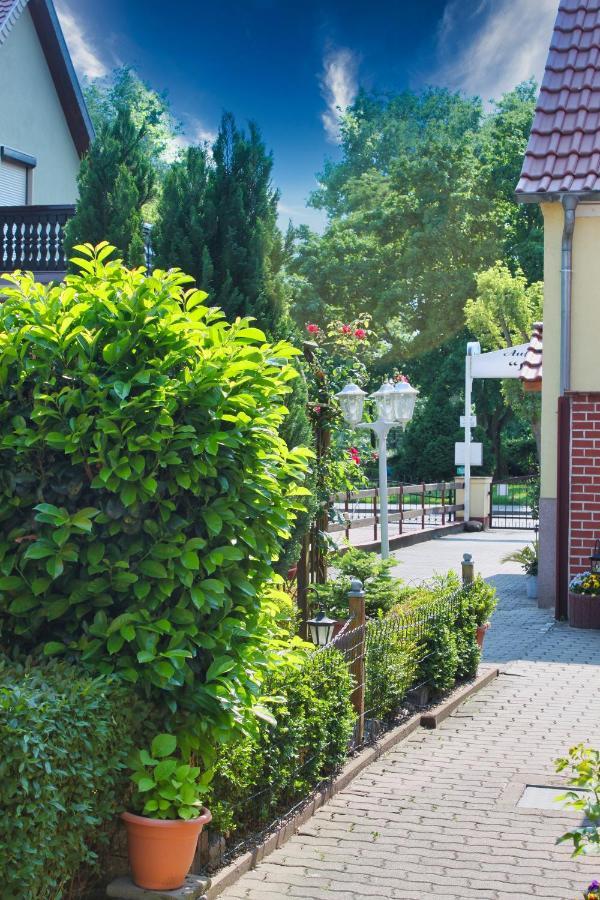 Pension Luisenhof Тангермюнде Екстер'єр фото